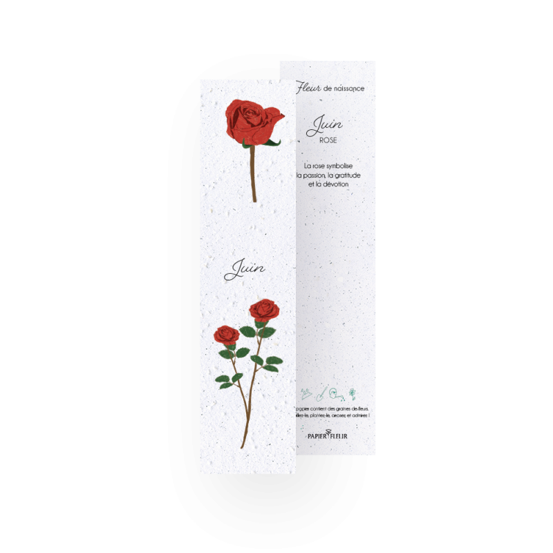 12 Marque-pages à planter - Fleurs de naissance | Papierfleur.fr, le papier qui fleurit