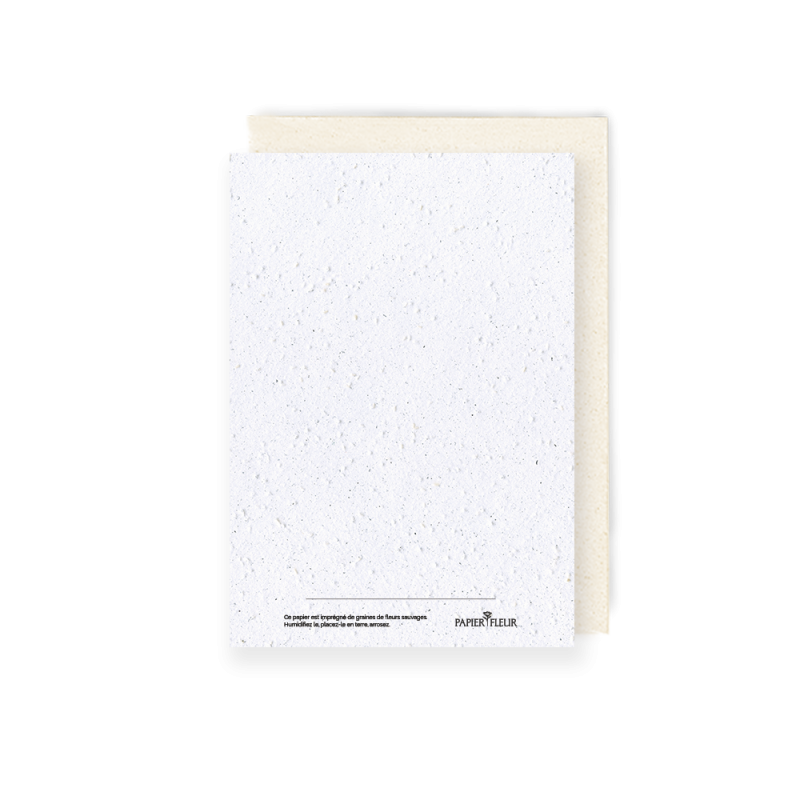 Carte à planter Joyeux Noël | Papier Fleur cartes ensemencées