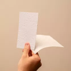 Kit d'échantillon de papier à planter