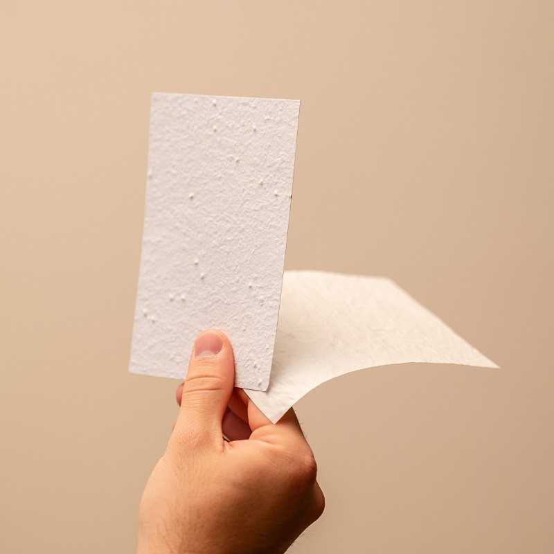 Kit d'éhantillons de papier à planter, Papier Fleur
