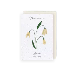 Carte à planter « Fleur de Janvier »