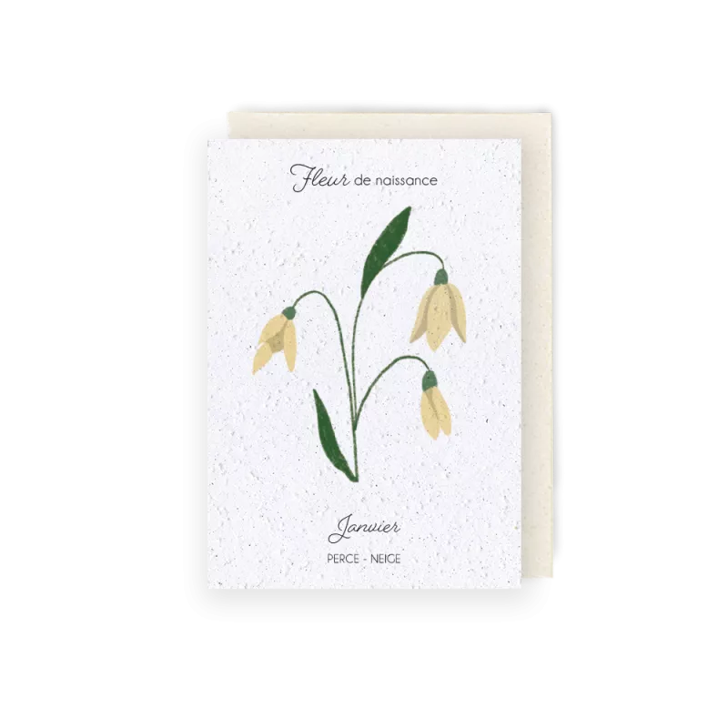 Carte à planter « Fleur de Janvier »