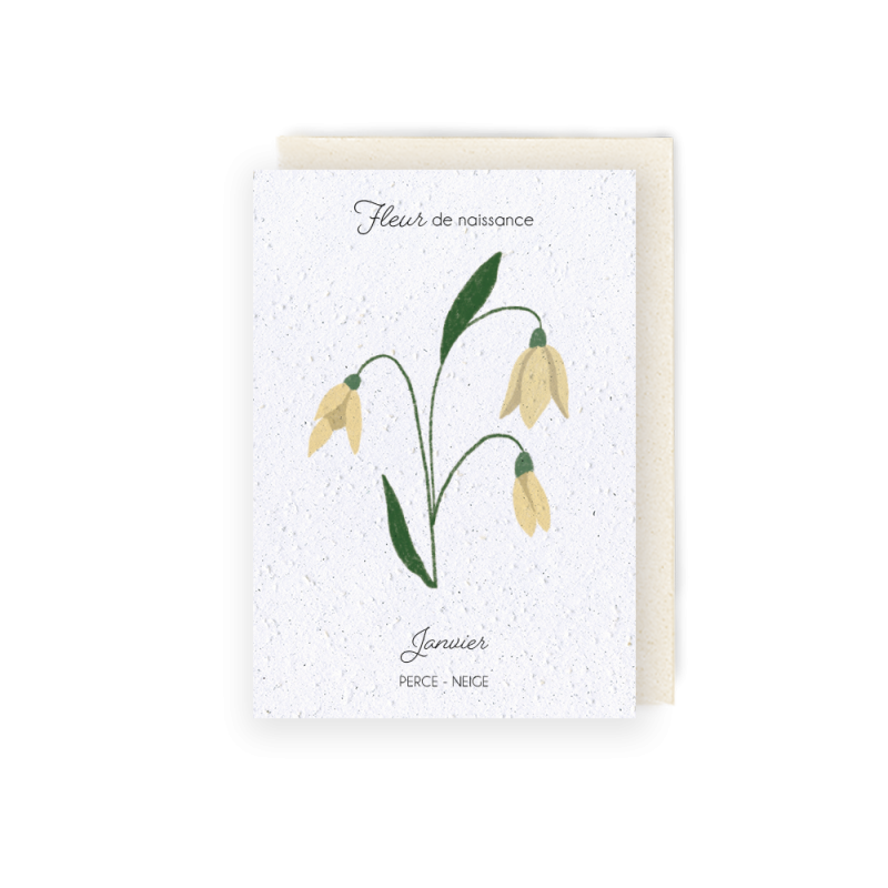 Carte à planter - Fleur de Naissance | Mois de Janvier