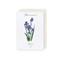 Carte à planter - Fleur de Naissance | Mois de Février