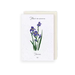 Carte à planter « Fleur de Février »