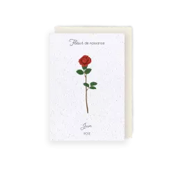 Carte à planter « Fleur de Juin »