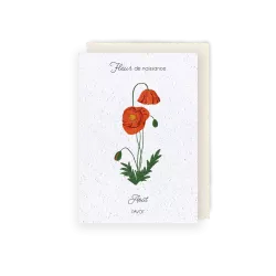 Carte à planter « Fleur d'Août »