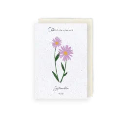 Carte à planter - Fleur de Naissance | Mois de Septembre
