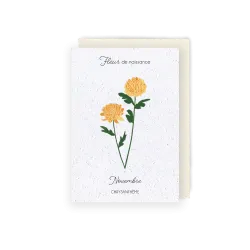 Carte à planter - Fleur de Naissance | Mois de novembre