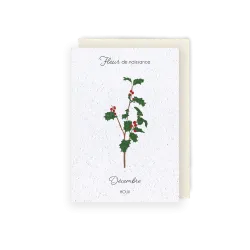 Carte à planter - Fleur de Naissance | Mois de décembre
