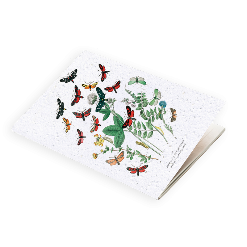 Calendrier à planter Biodiversité | E-shop Papier Fleur