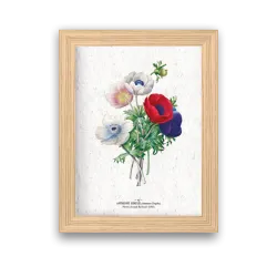 Affiche déco Anémones à planter | Papierfleur, le papier qui fleurit