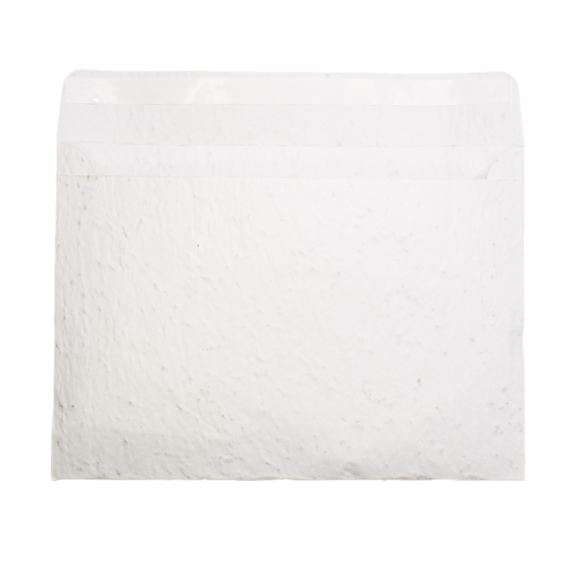 Enveloppe à planter C5 | Papierfleur, le papier qui fleurit