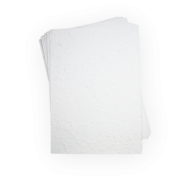 Lot de feuilles de papier ensemencé | Papiefleur, le papier qui fleurit.