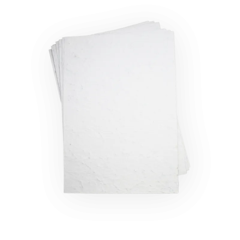 Lot de feuilles de papier ensemencé | Papiefleur, le papier qui fleurit.