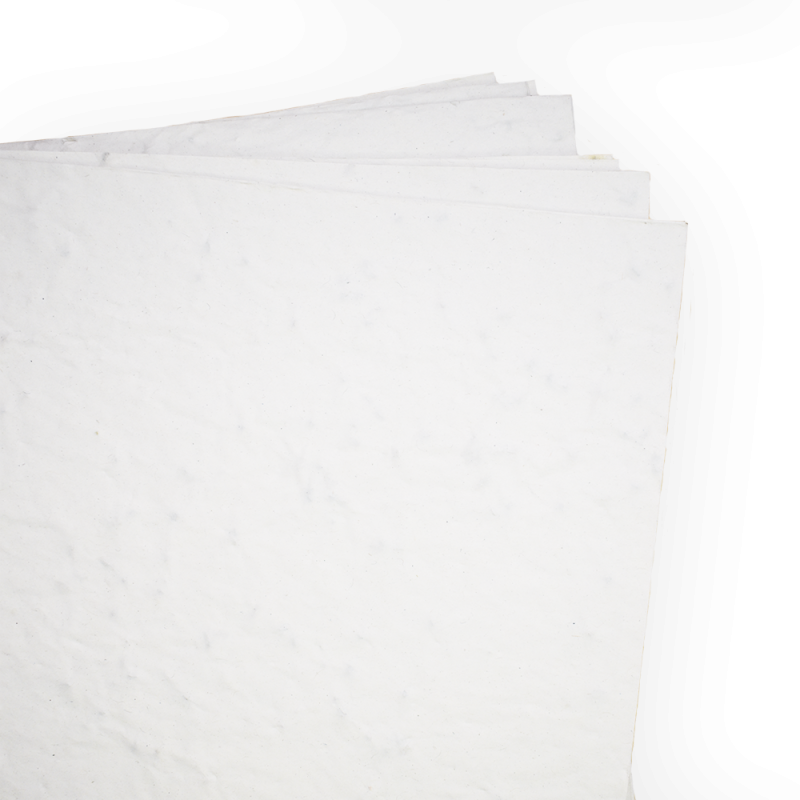 Lot de feuilles de papier ensemencé | Papiefleur, le papier qui fleurit.