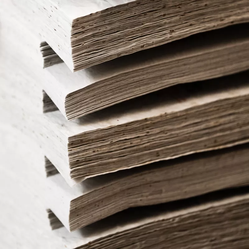 Feuilles de papier ensemencé « Plume » vierges | Papiefleur, le papier qui fleurit.