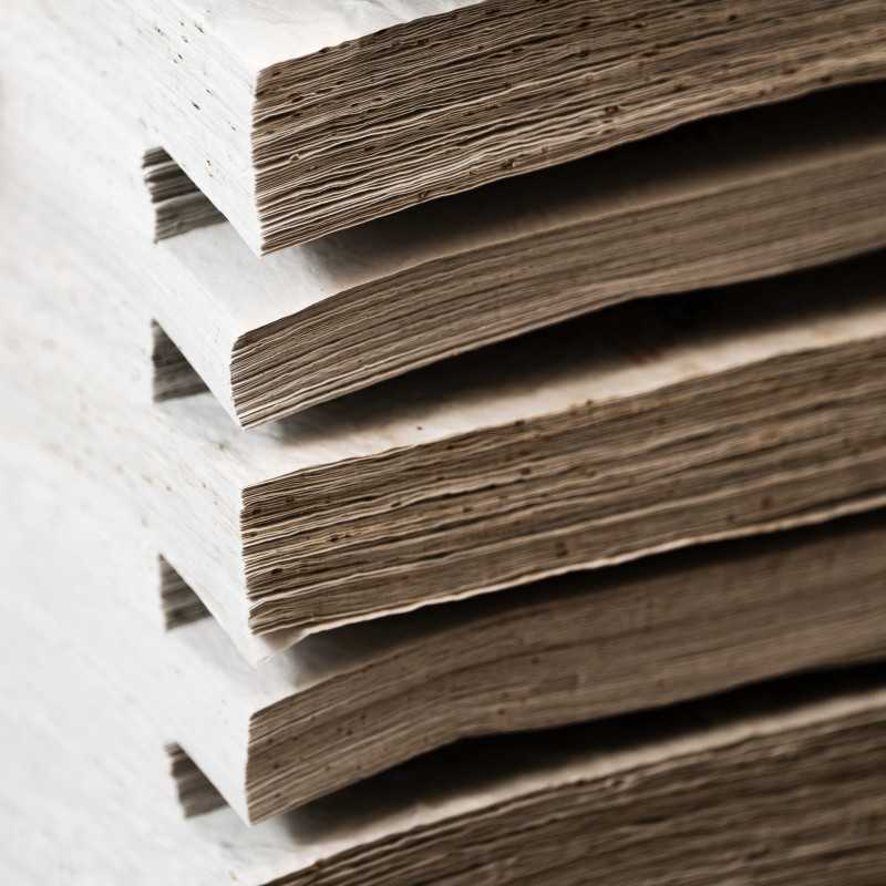 Lot de feuilles de papier ensemencé | Papiefleur, le papier qui fleurit.