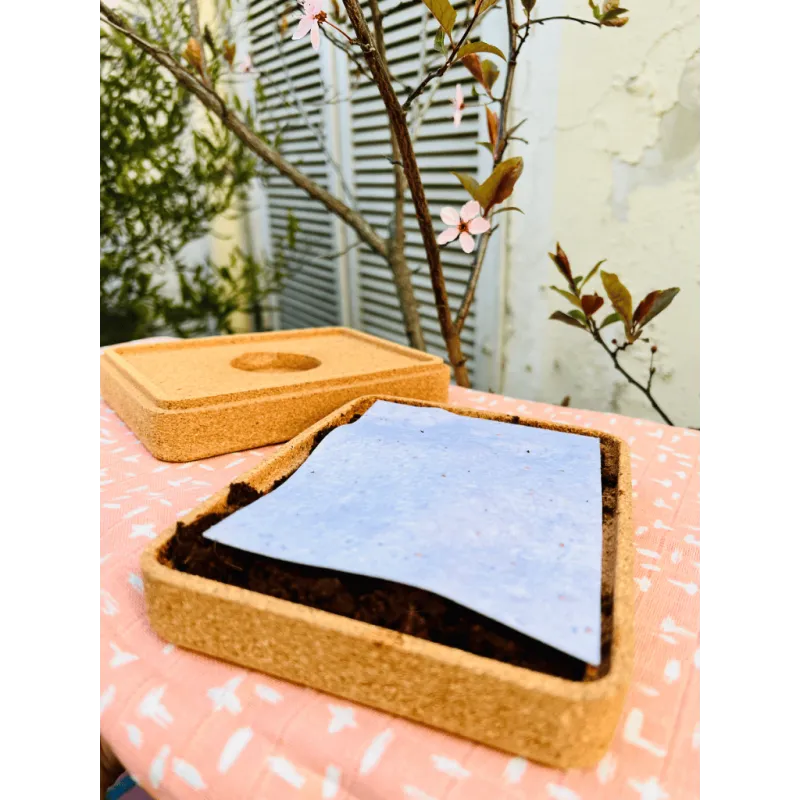 Boîte à germer - lapetiteboîte | Papierfleur.fr, le papier qui fleurit