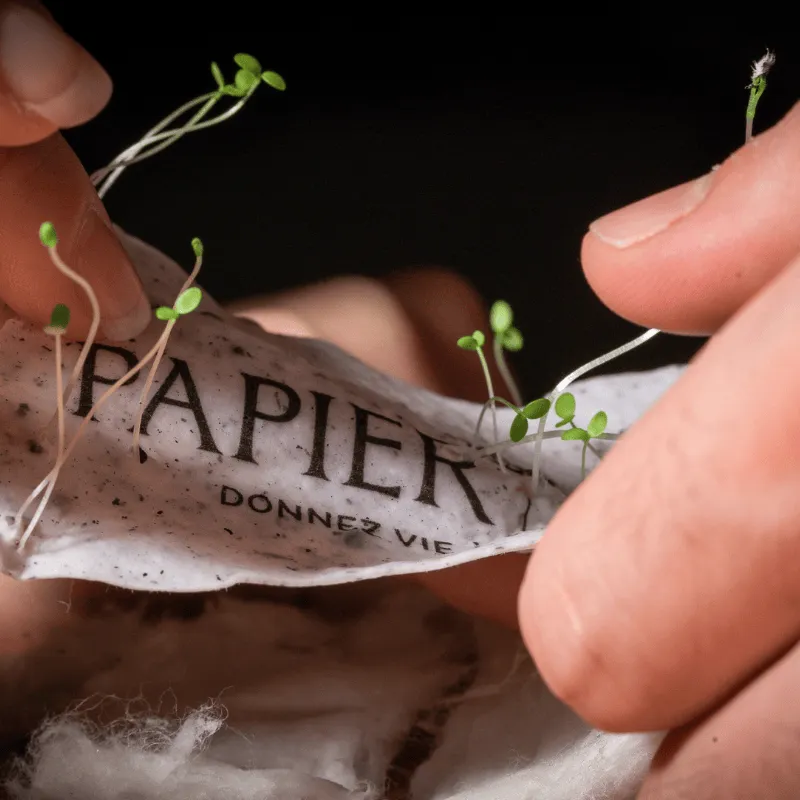 Faire-part à planter fleuri | Papierfleur, commande en ligne