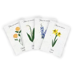 Carte à planter fleur de naissance | Papierfleur