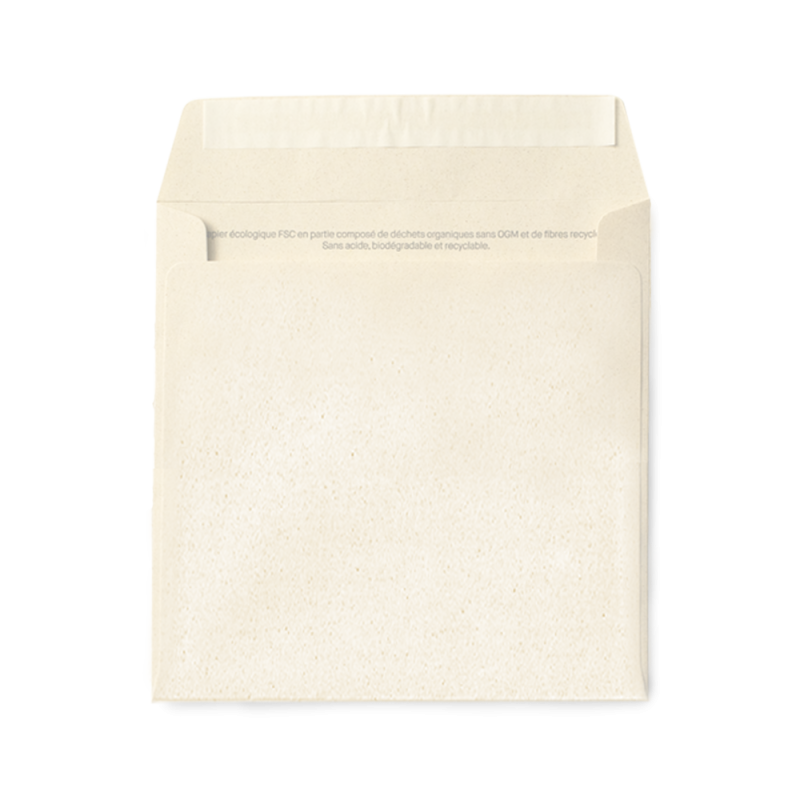 Enveloppe upcyclée vierge agrumes | Papierfleur, le papier qui fleurit