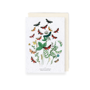 Biodiversité