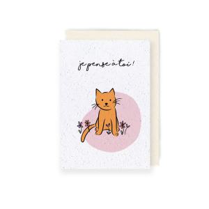 La vie de chat