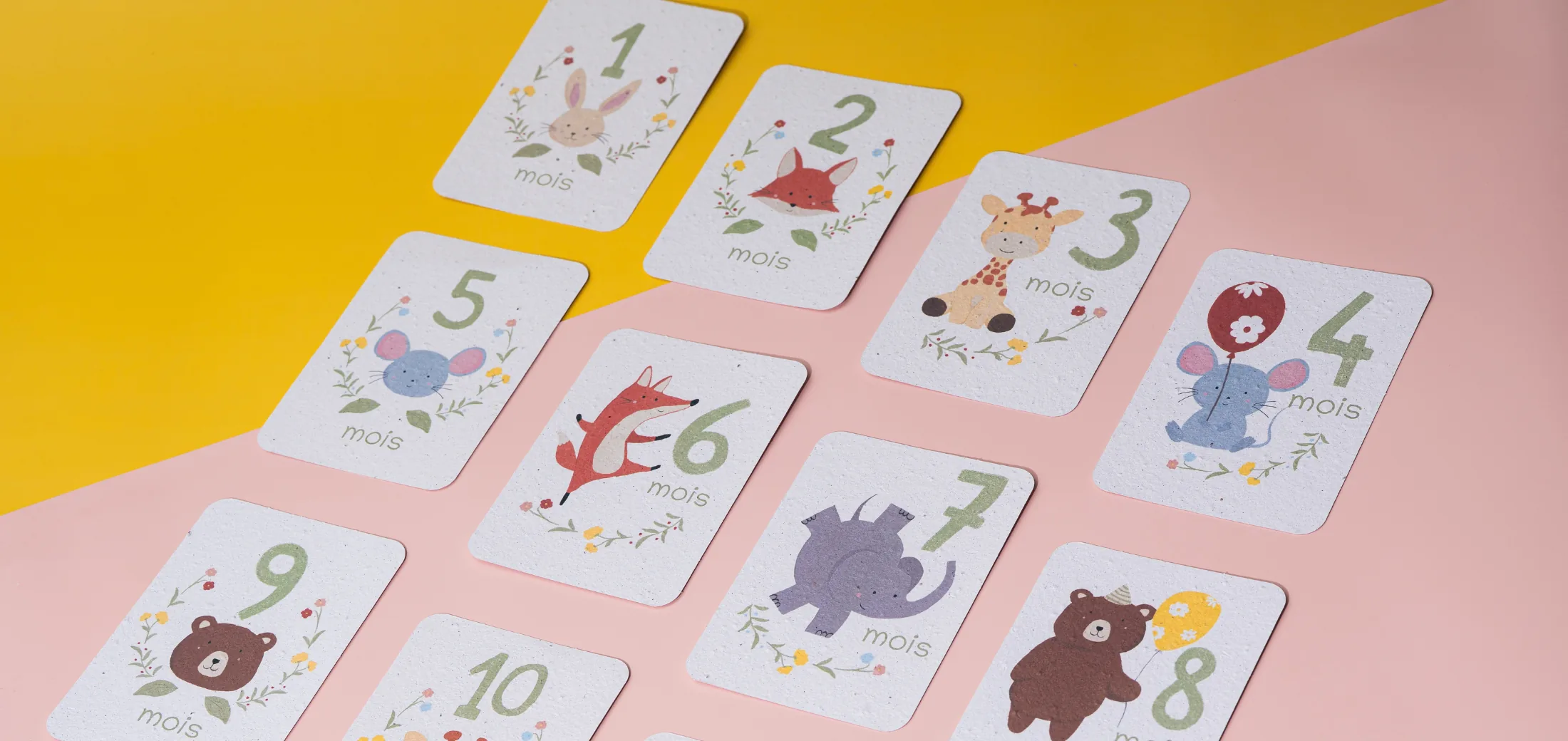 Cartes étapes bébé à planter « Mes amis les animaux », 12 premiers mois