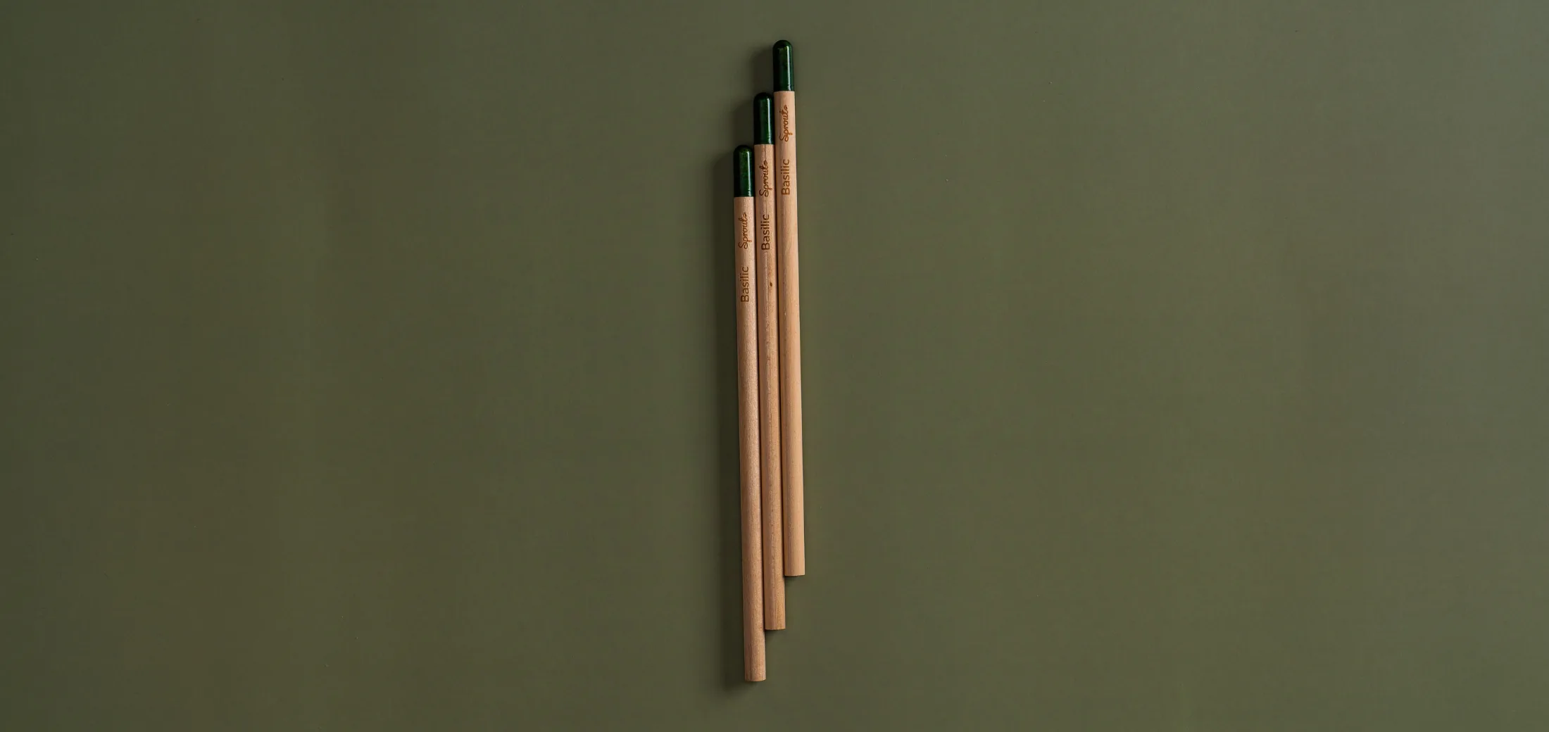 Crayon à planter, graines de basilic
