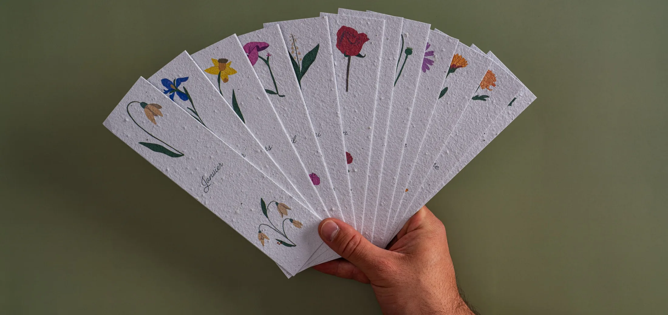 12 Marque-pages à planter « Fleurs de naissance »