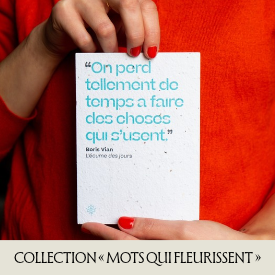 Cartes à planter collection "mots qui fleurissent"