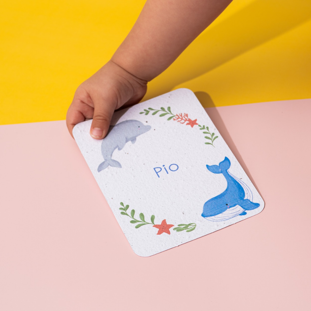 Cartes étapes bébé naissance à planter