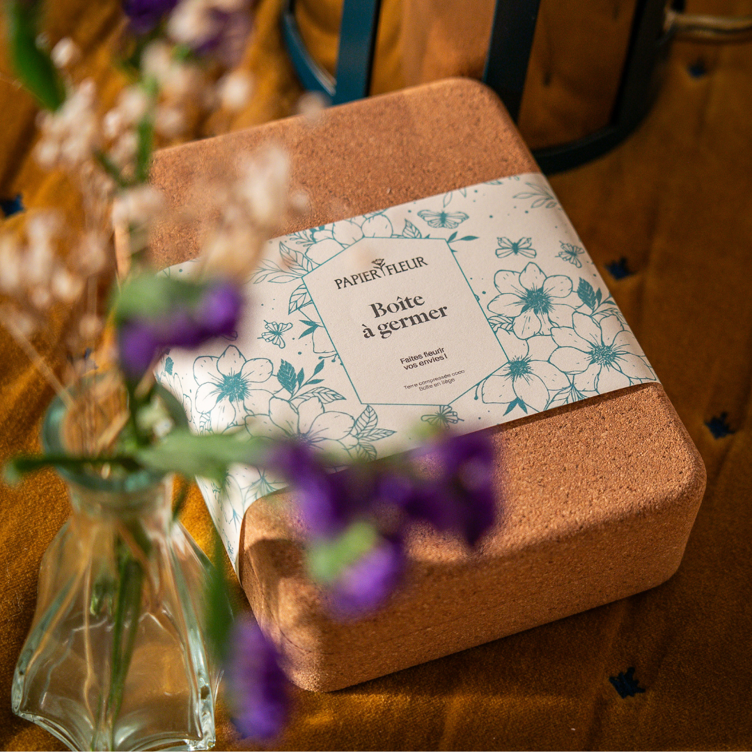Idée cadeau