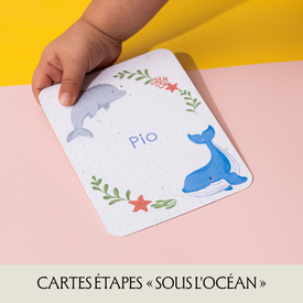 Cartes étapes bébé naissance à planter