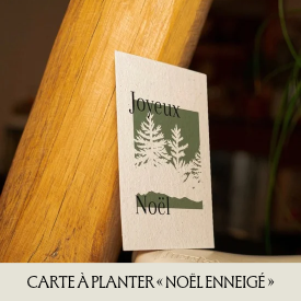 Cartes à planter collection "mots qui fleurissent"