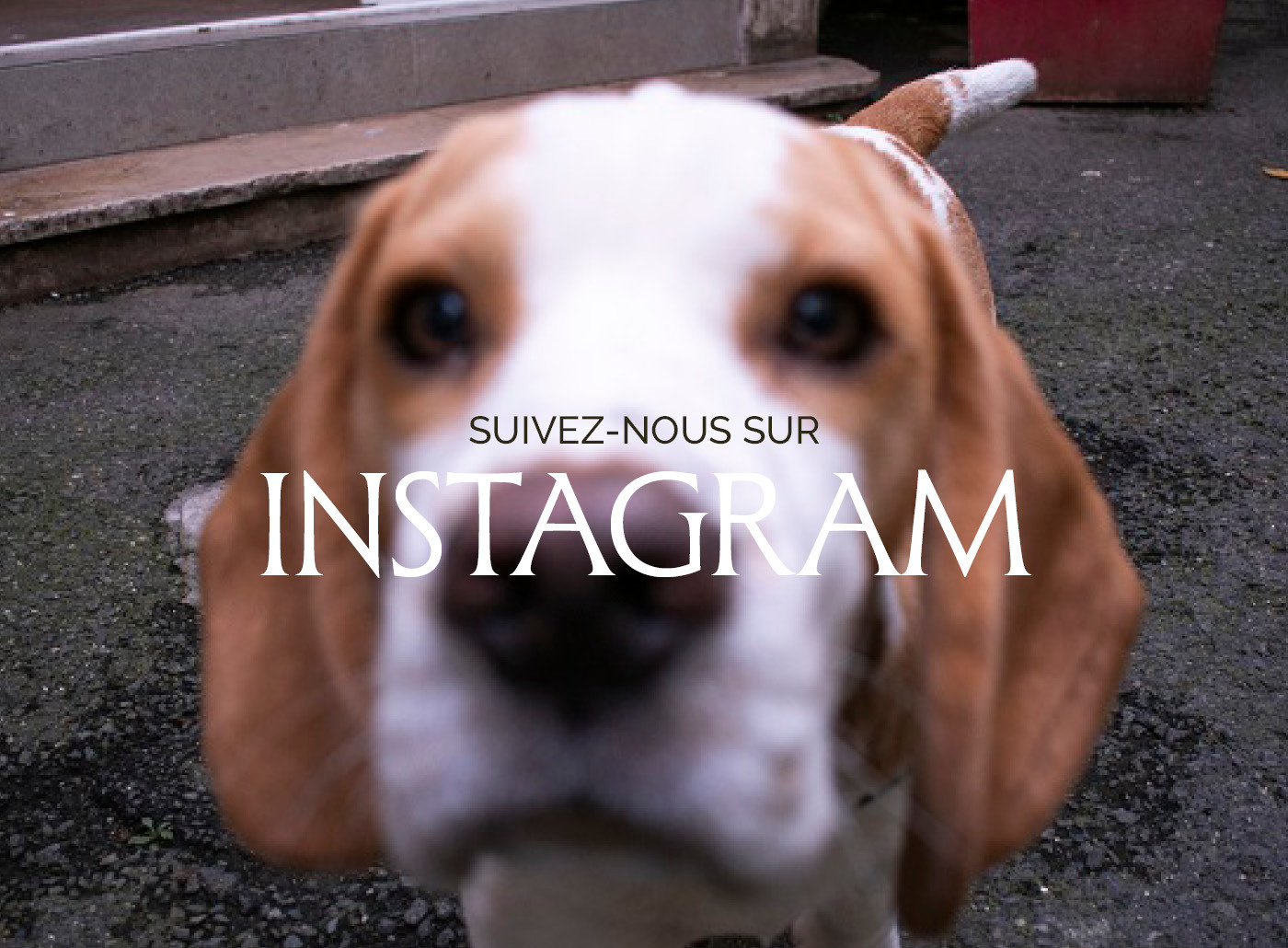 Instagram