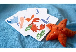 Cartes étapes bébé Papier Fleur