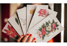 Papier ensemencé : les coulisses de notre atelier parisien