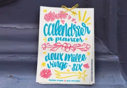 Calendrier à planter Alice Cateland : 12 créations à semer, entre art et nature, pour une année fleurie et inspirante.