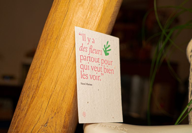 Cadeau de rentrée pour un adulte : nos idées à planter