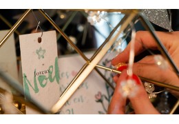 Cadeaux de fin d'année responsables à planter | Papier Fleur