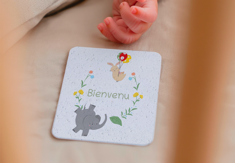 Cadeaux de naissance à planter : nos idées pour accueillir bébé en douceur