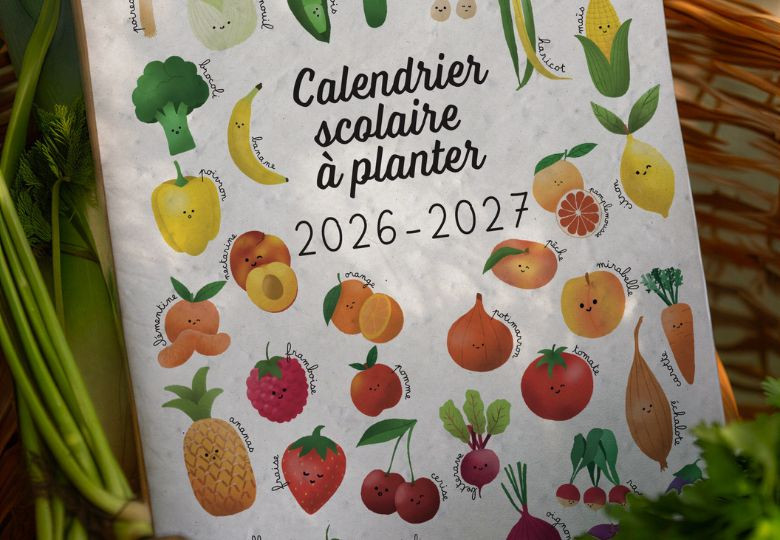 Calendrier à planter : une année fleurie et écoresponsable