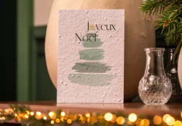 Idées cadeaux à planter : 5 présents poétiques et responsables pour un Noël tout en douceur