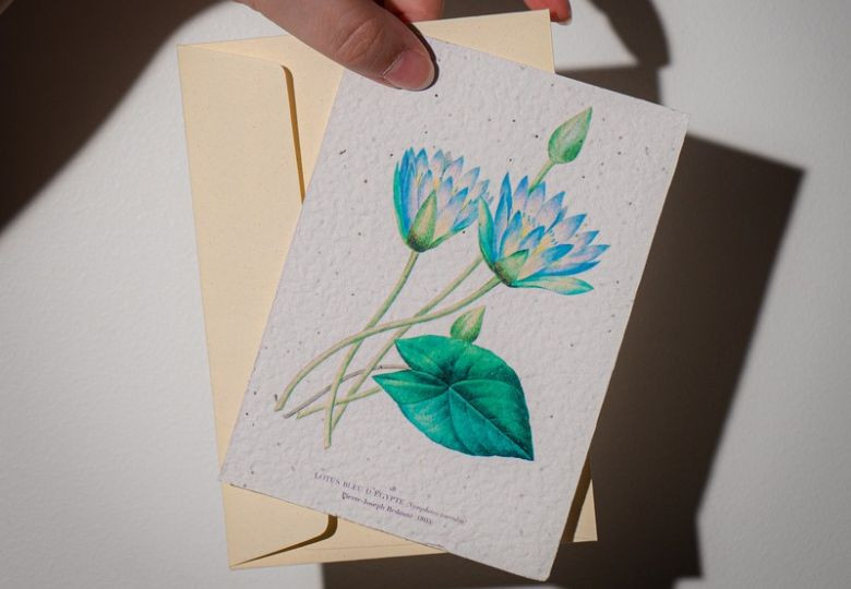 Le papier à planter écologique : quand la communication devient un geste pour la biodiversité