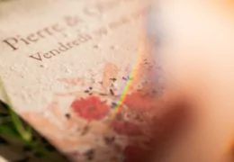 Papier recyclé vs papier ensemencé : comprendre leurs différences