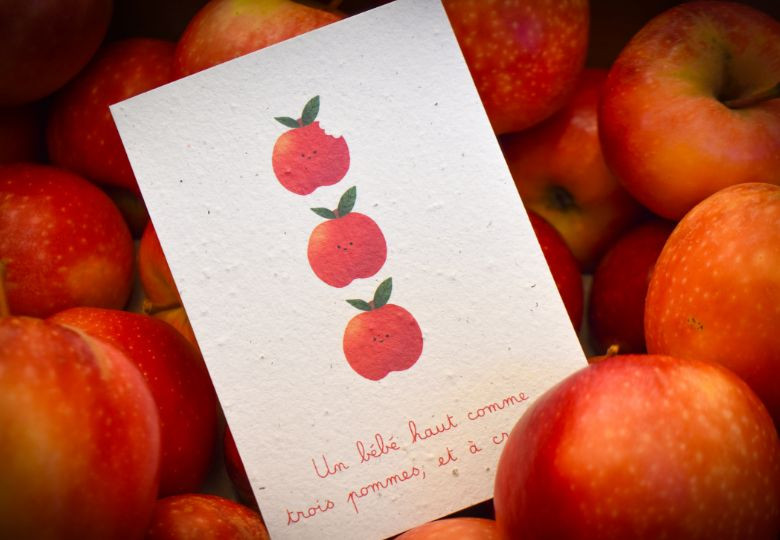 Planter son papier ensemencé en septembre : le guide de saison