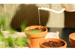 Planter son papier ensemencé en septembre : le guide de saison