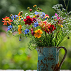 Fleurs sauvages